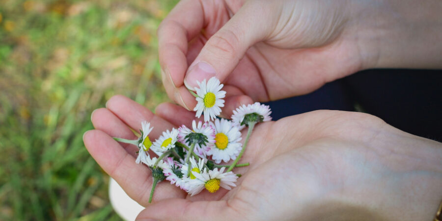 Mains ouverte avec des fleurs